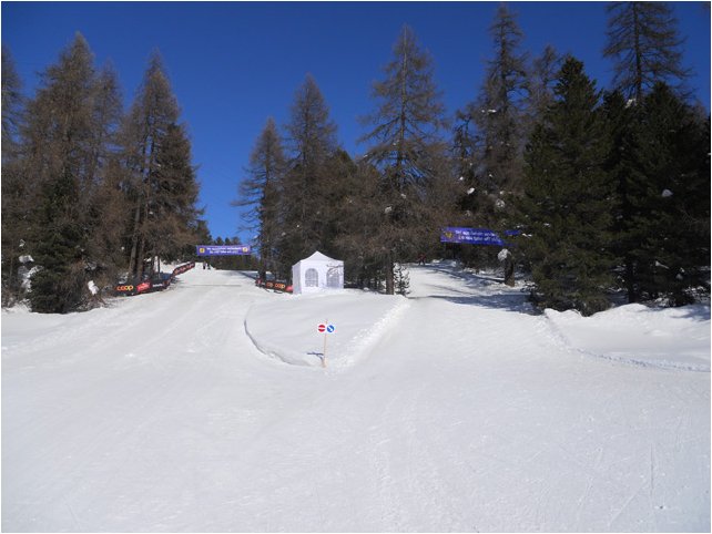 Engadine