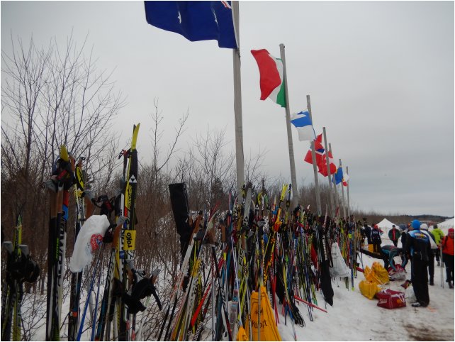 BIRKIE usa