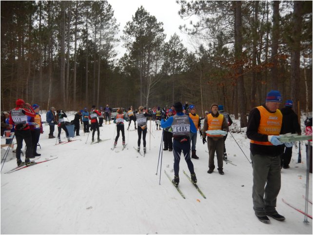 BIRKIE usa