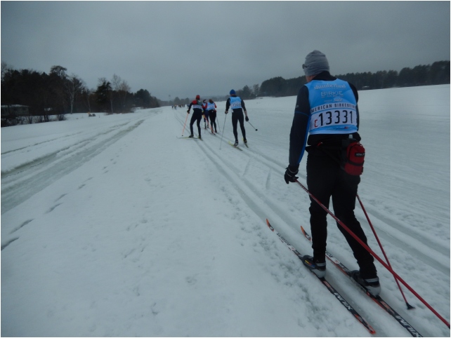 BIRKIE usa