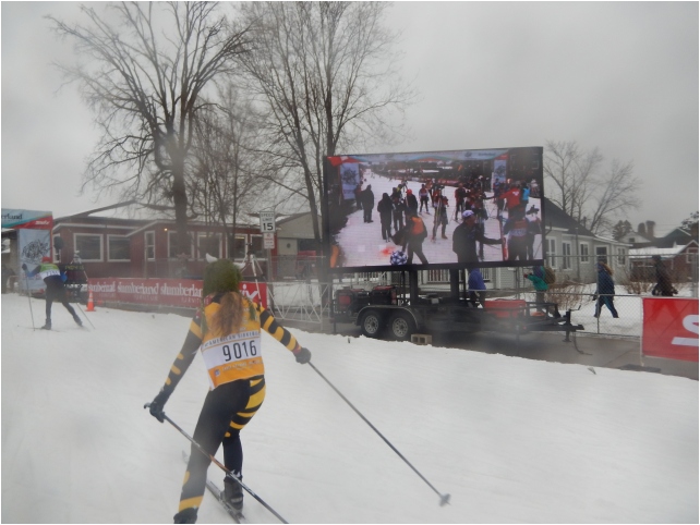 BIRKIE usa