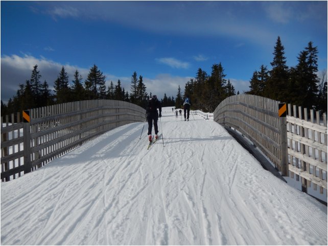 Norway-Birkie